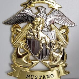 A gold and silver plaque with the name of a mustang on it.