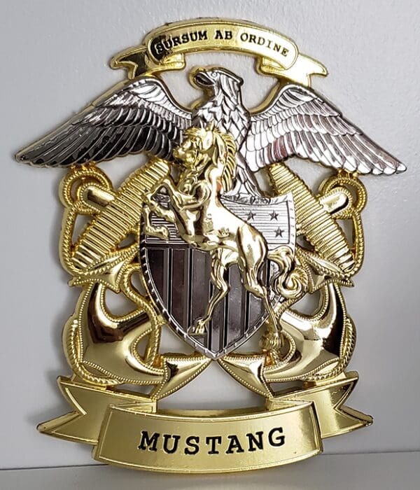 A gold and silver plaque with the name of a mustang on it.